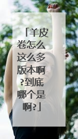 羊皮卷怎么这么多版本啊?到底哪个是啊?