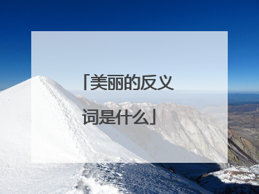 美丽的反义词是什么