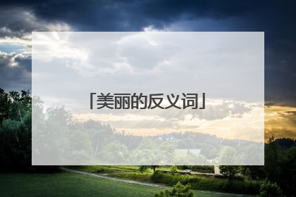 美丽的反义词