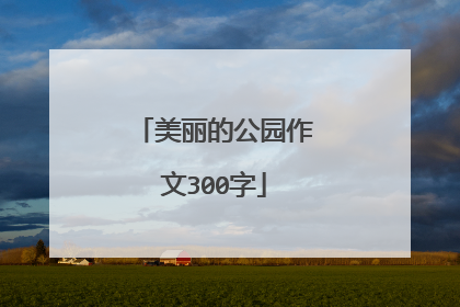 美丽的公园作文300字