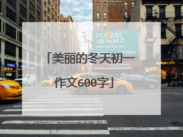 美丽的冬天初一作文600字