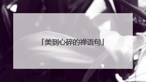 美到心碎的禅语句