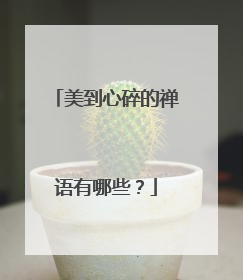 美到心碎的禅语有哪些？