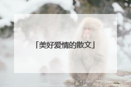 美好爱情的散文