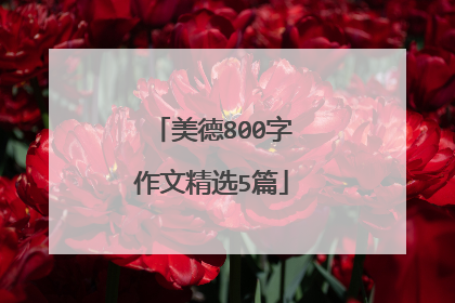 美德800字作文精选5篇