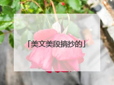 美文美段摘抄的