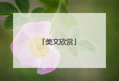 美文欣赏