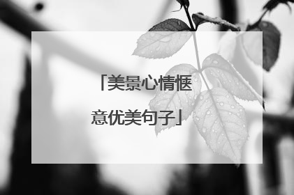 美景心情惬意优美句子