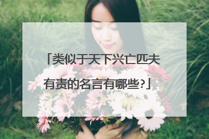 类似于天下兴亡匹夫有责的名言有哪些?