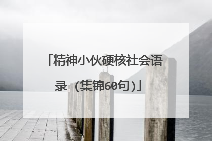 精神小伙硬核社会语录 (集锦60句)