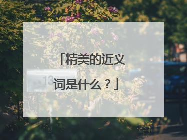 精美的近义词是什么？