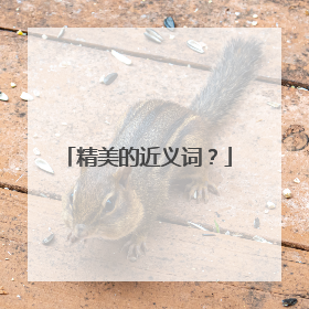 精美的近义词？