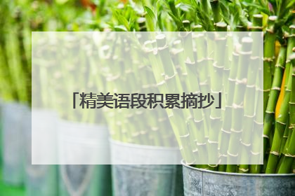 精美语段积累摘抄