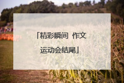 精彩瞬间 作文 运动会结尾