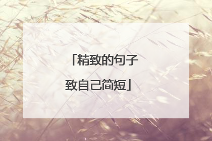 精致的句子致自己简短