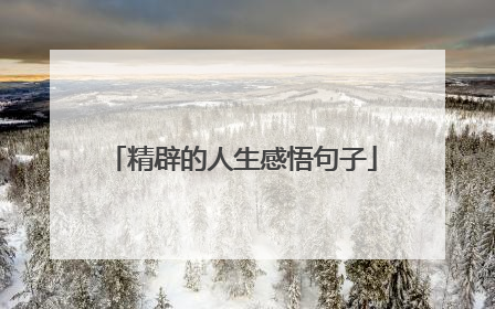 精辟的人生感悟句子
