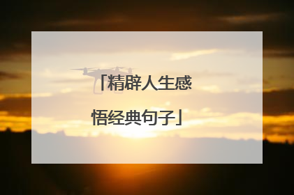 精辟人生感悟经典句子