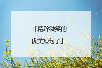精辟微笑的优美短句子