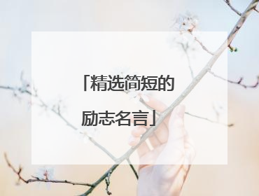 精选简短的励志名言