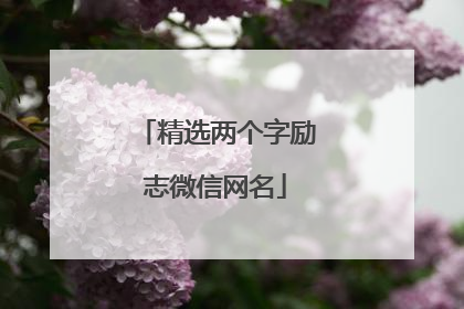 精选两个字励志微信网名