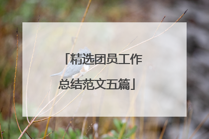 精选团员工作总结范文五篇