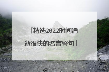 精选2022时间消逝很快的名言警句