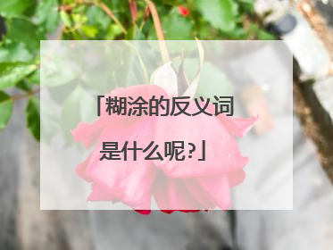 糊涂的反义词是什么呢?