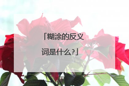 糊涂的反义词是什么?
