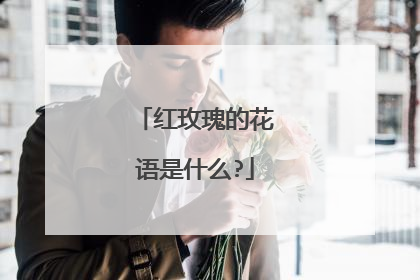 红玫瑰的花语是什么?
