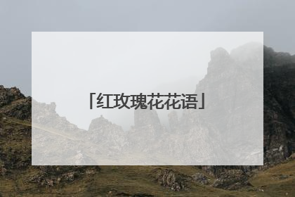 红玫瑰花花语