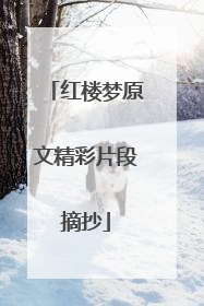 红楼梦原文精彩片段摘抄