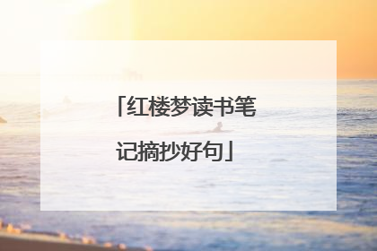 红楼梦读书笔记摘抄好句