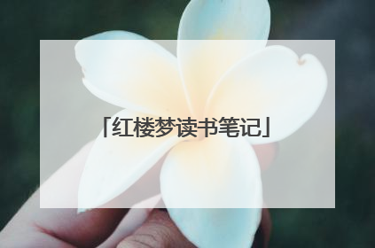 红楼梦读书笔记