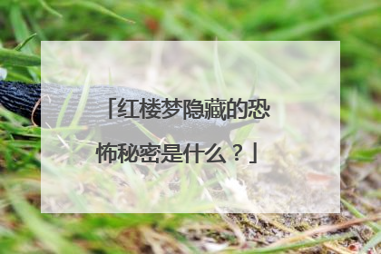 红楼梦隐藏的恐怖秘密是什么？