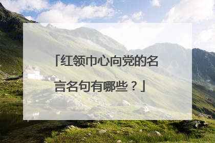 红领巾心向党的名言名句有哪些？