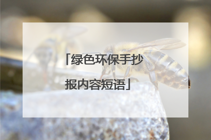 绿色环保手抄报内容短语