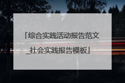 综合实践活动报告范文_社会实践报告模板