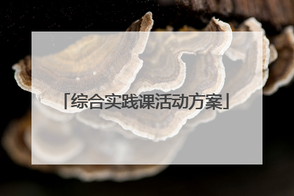 综合实践课活动方案