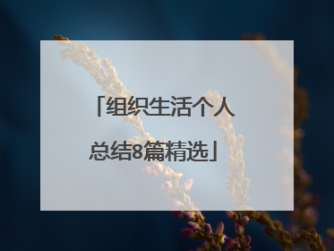 组织生活个人总结8篇精选