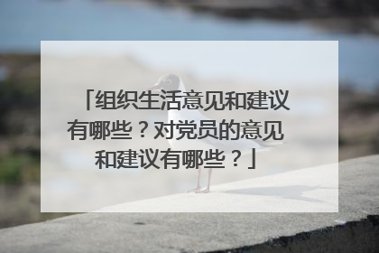 组织生活意见和建议有哪些?对党员的意见和建议有哪些?