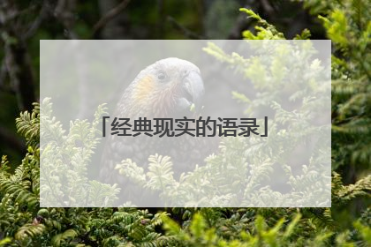 经典现实的语录