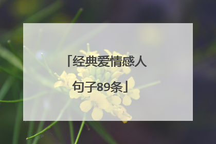经典爱情感人句子89条
