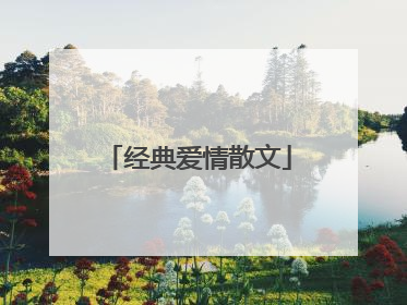 经典爱情散文