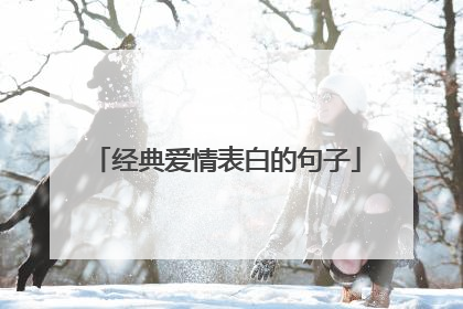 经典爱情表白的句子