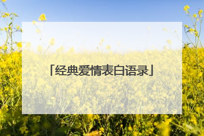 经典爱情表白语录