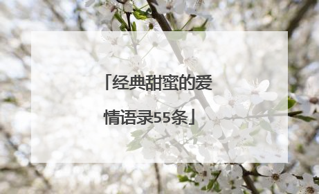 经典甜蜜的爱情语录55条