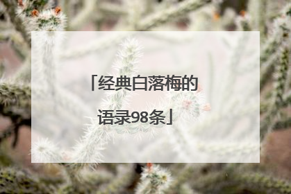 经典白落梅的语录98条