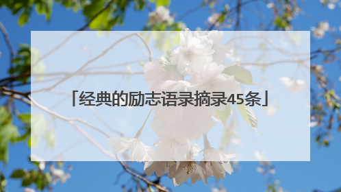 经典的励志语录摘录45条