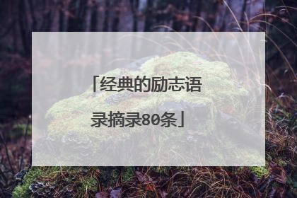 经典的励志语录摘录80条