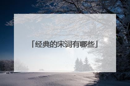 经典的宋词有哪些